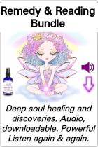 a fairy and a remedy bottle